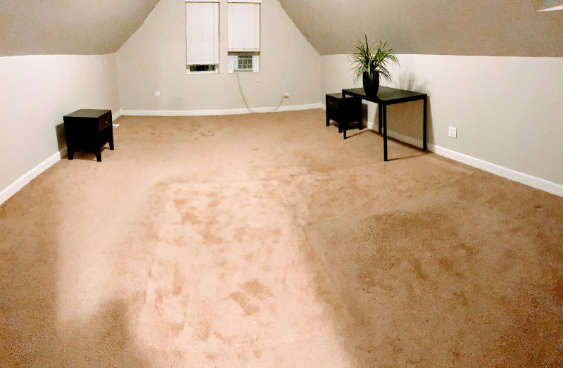 3547 S Hermitage Ave #TOP - Photo 6 of 19