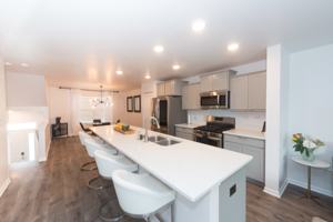 featured image of 1 Neudearborn Townhome Station