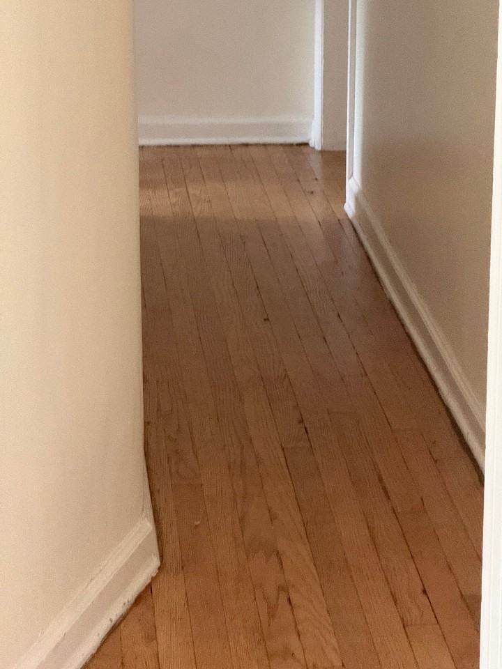 127 Belknap Ave #2 - Photo 2 of 5