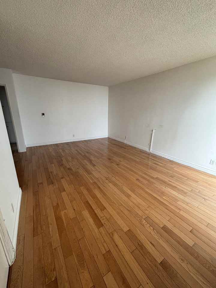 2042 N Beachwood Dr - Photo 3 of 13