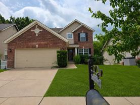 708 English Ivy - Photo 1 of 1