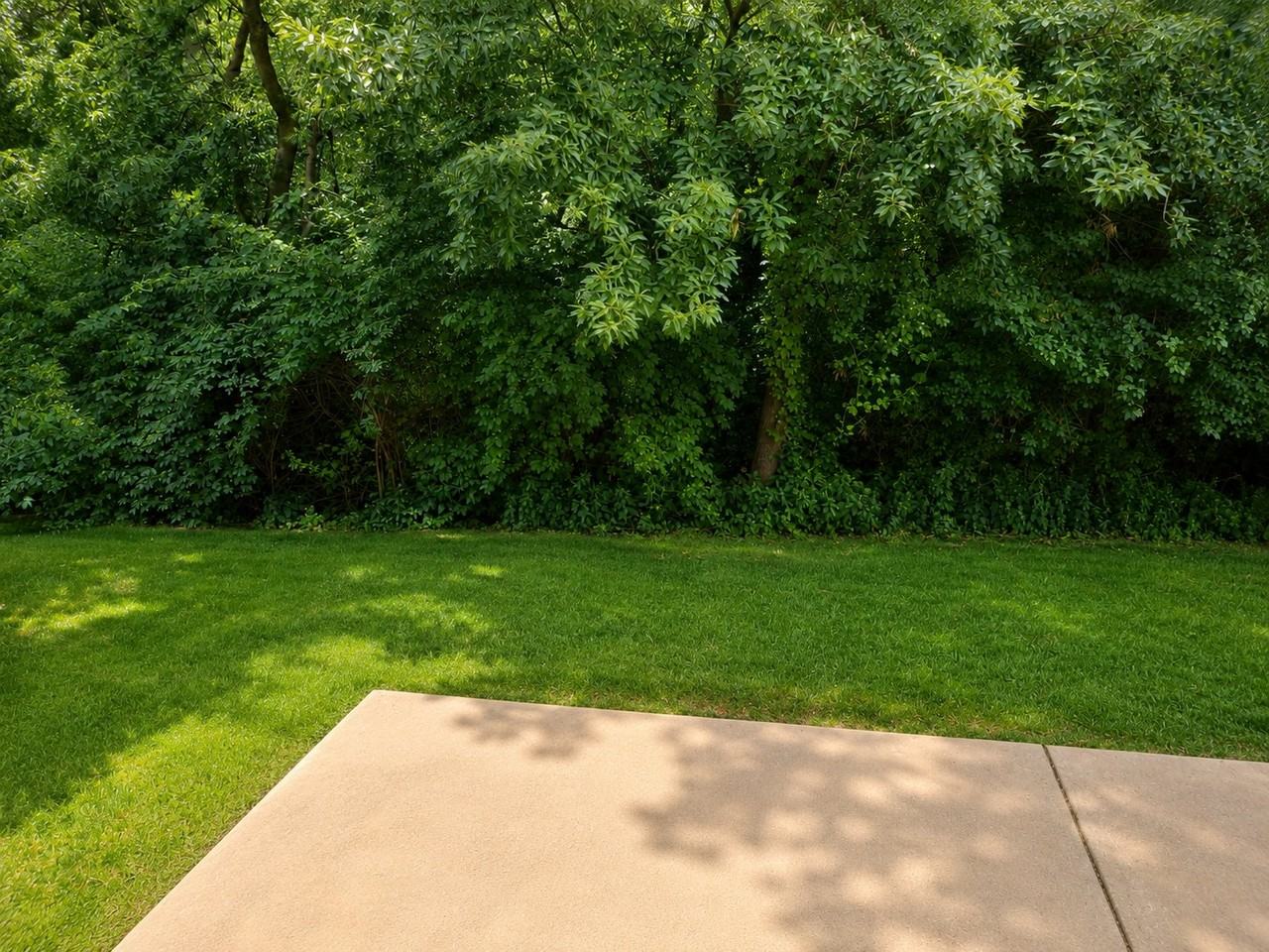 708 English Ivy - Photo 5 of 16