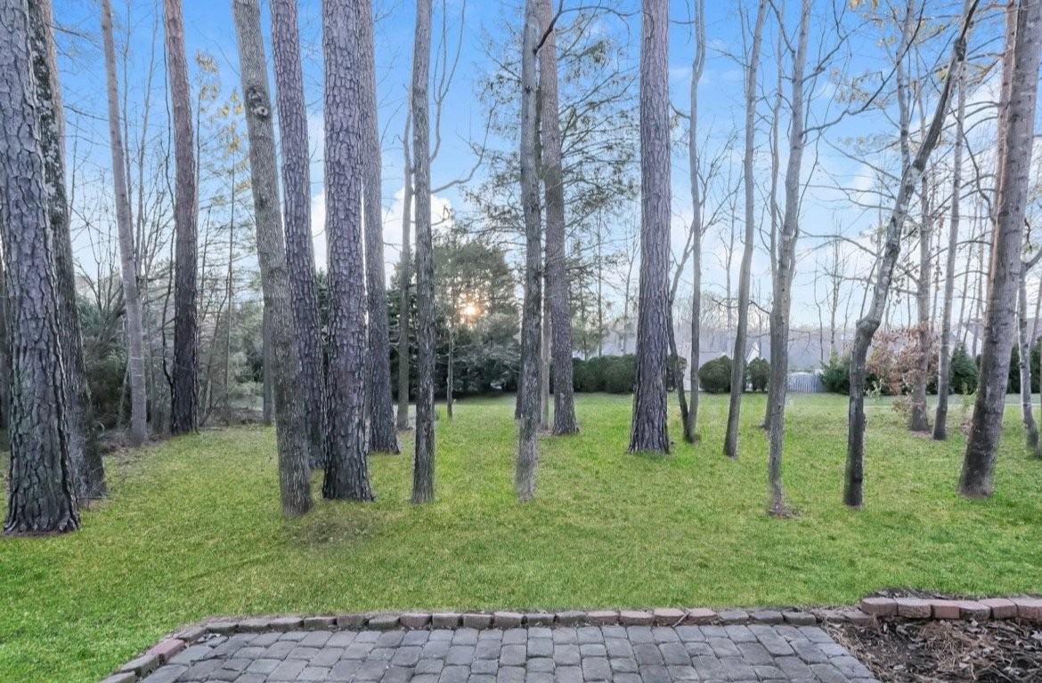7145 Duchamp Dr - Photo 3 of 7