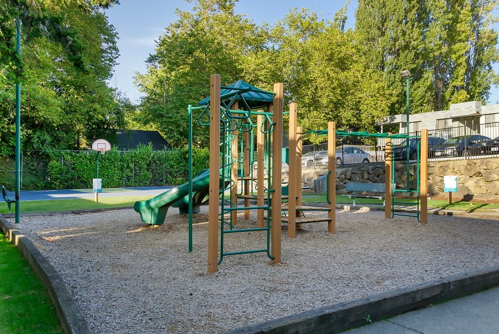 Palisades - Photo 7 of 32