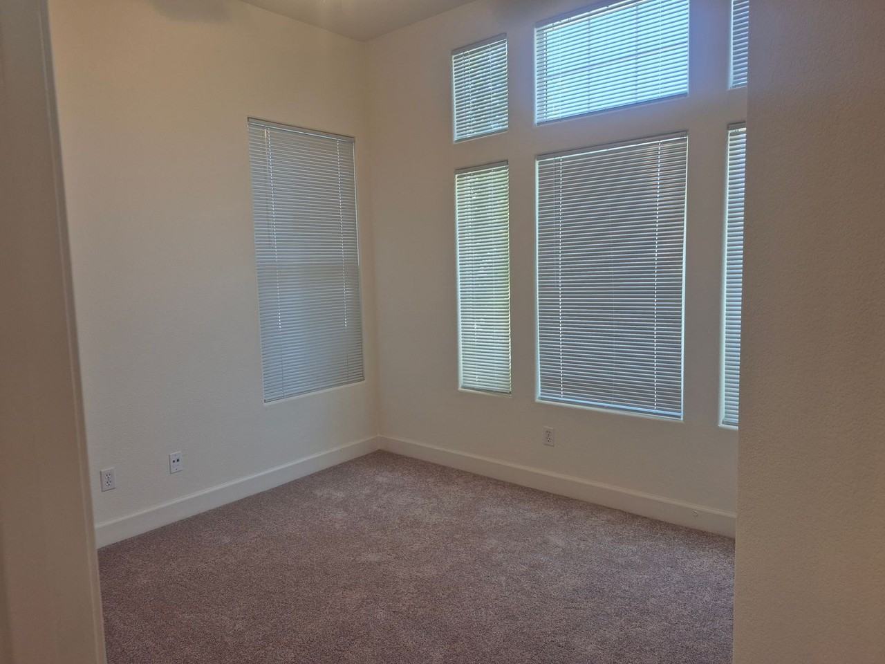 5703 Herbal Way - Photo 5 of 18