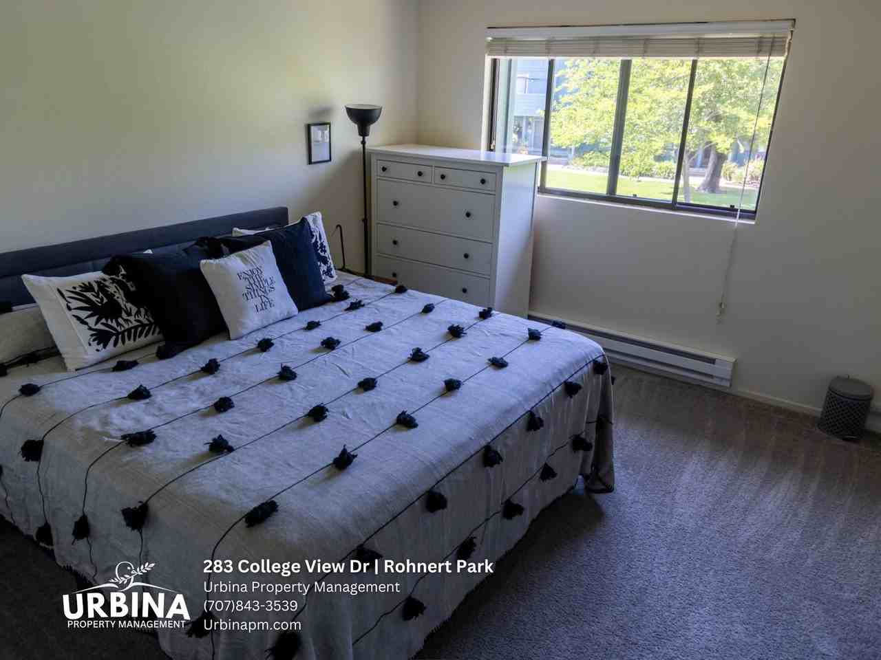 283 College View Dr - Photo 6 of 13