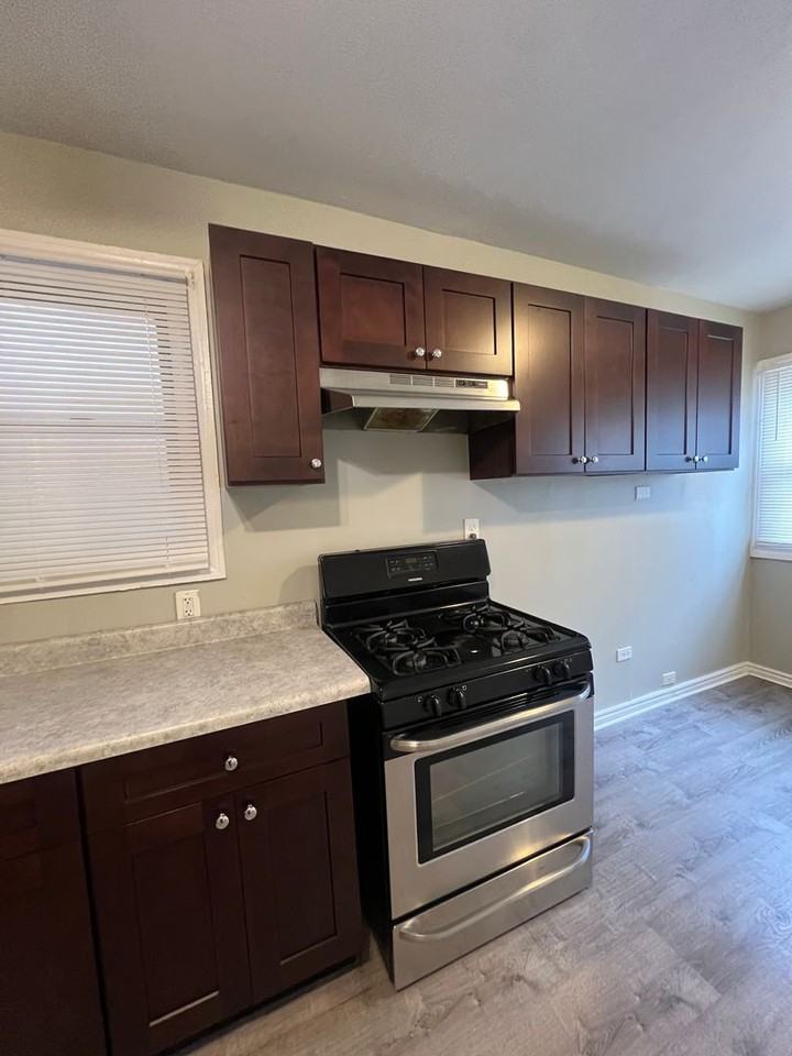 7202 S Marshfield Ave - Photo 4 of 50
