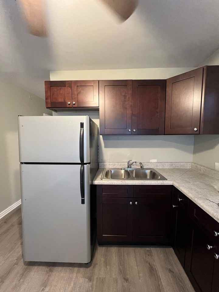 7202 S Marshfield Ave - Photo 5 of 50