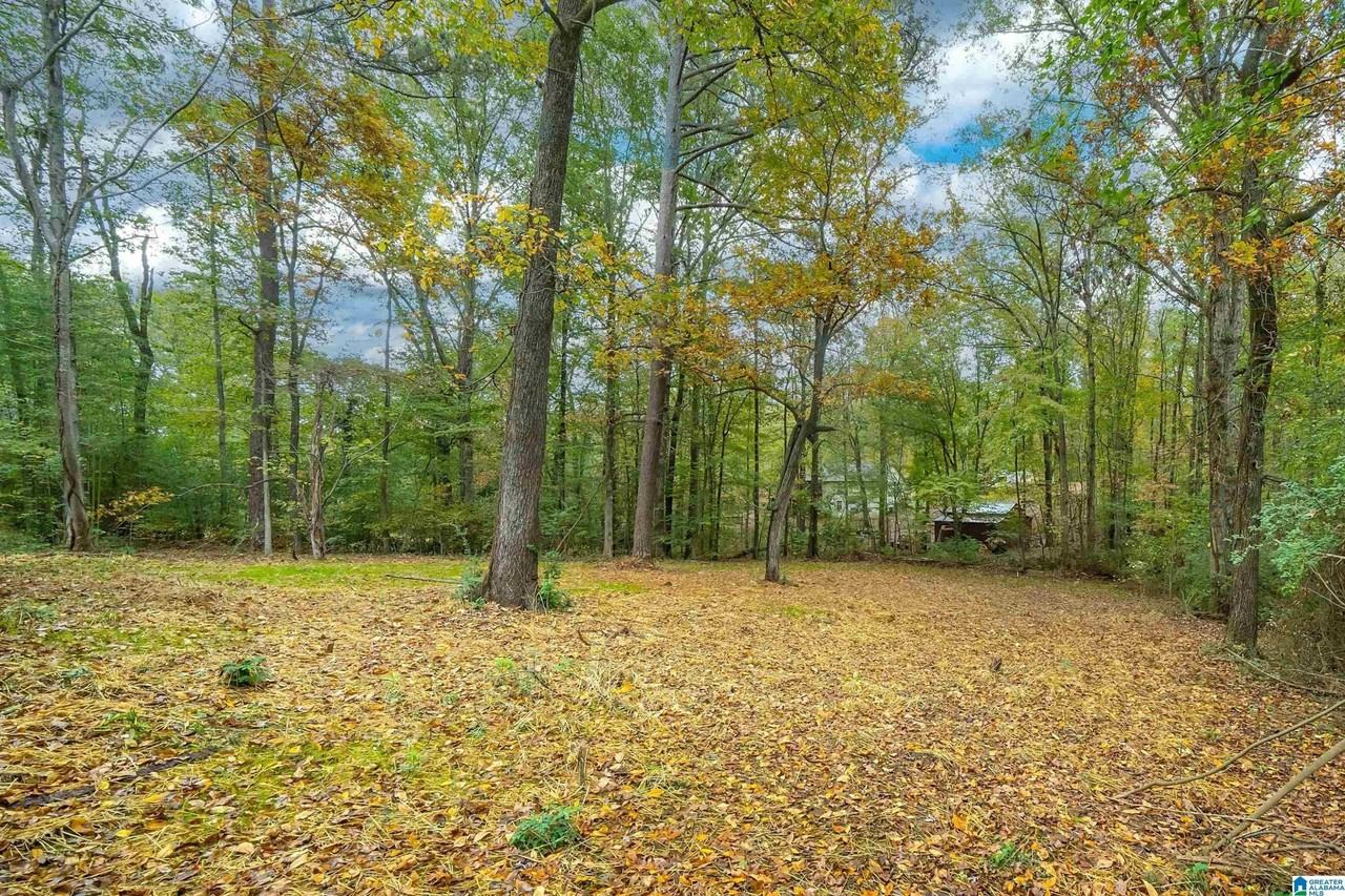 13050 Alpine Cir - Photo 2 of 20