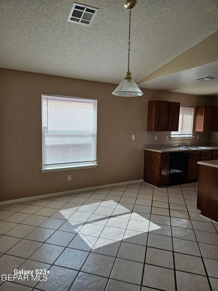 12345 Tierra Plata Dr - Photo 4 of 17