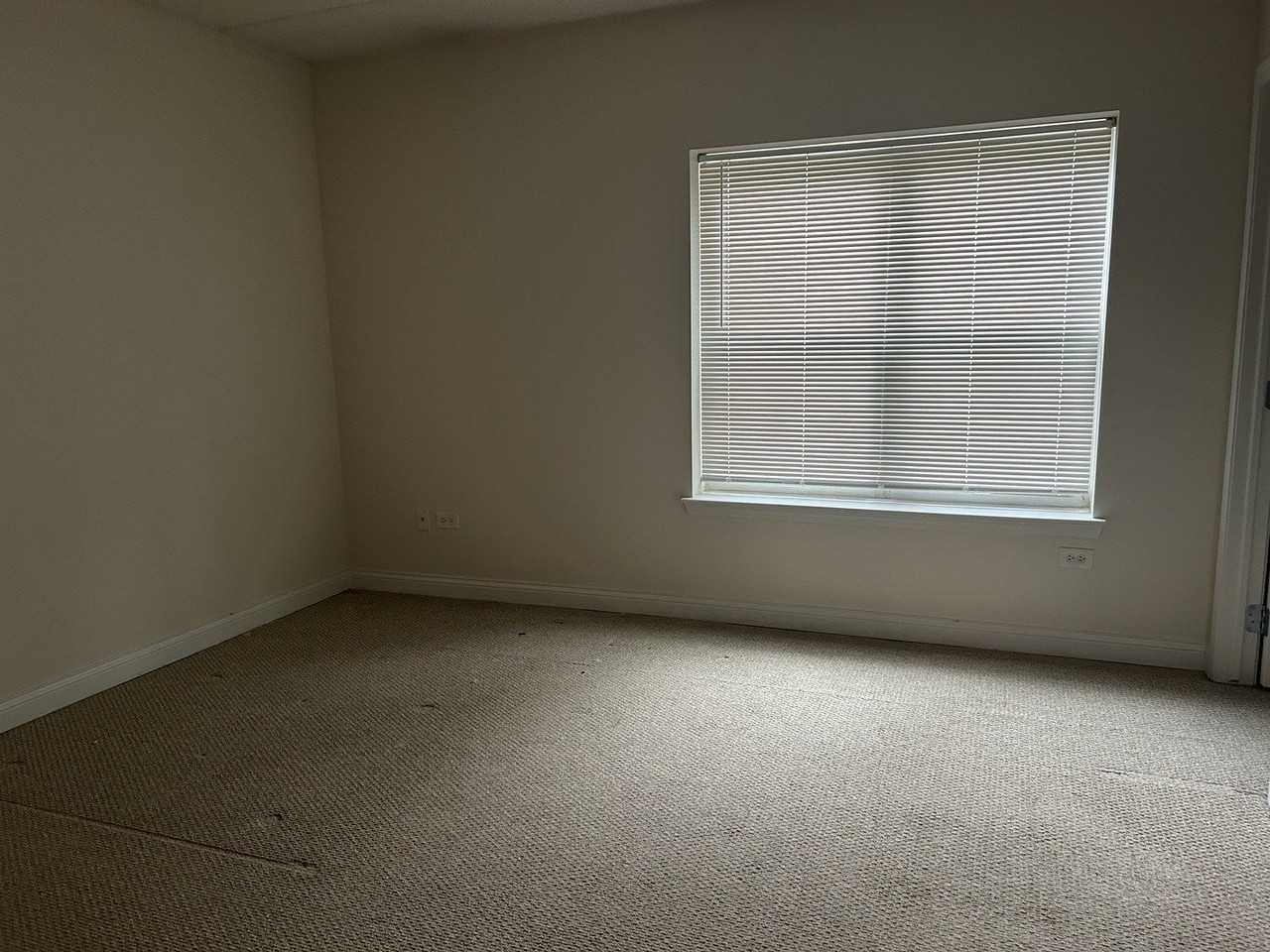 3400 N Old Arlington Heights Rd #301 - Photo 4 of 6