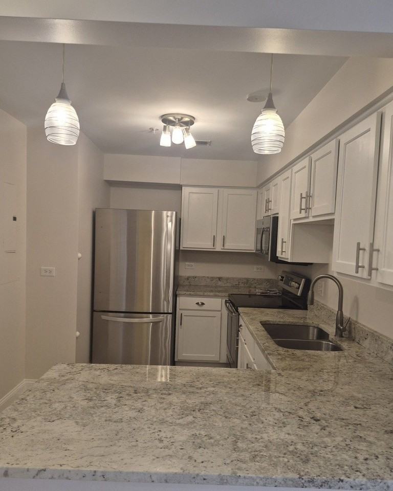 1635 N Milwaukee Ave #303 - Photo 4 of 14
