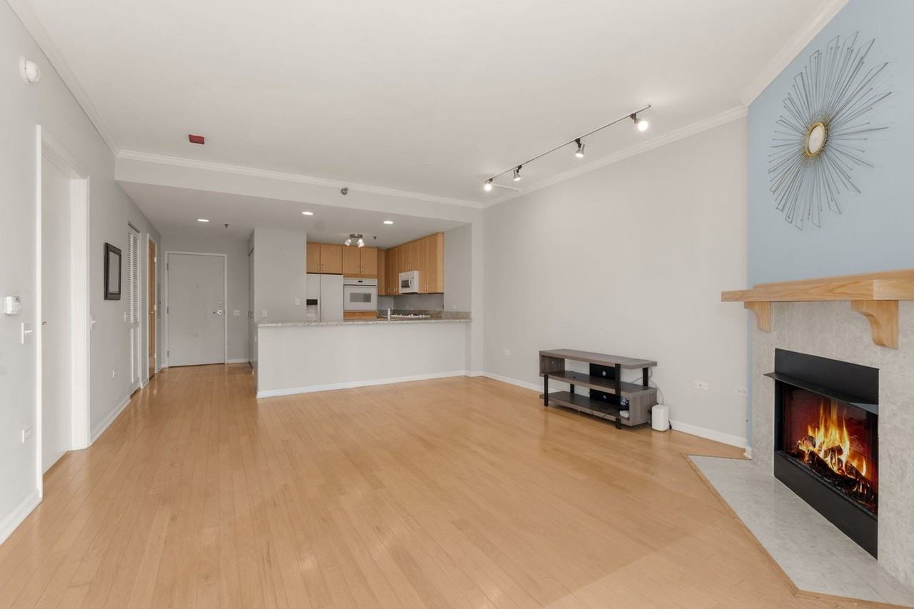 1515 S Prairie Ave #705 - Photo 4 of 27