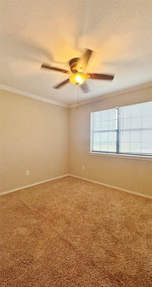 304 Boot Ranch Rd - Photo 3 of 15