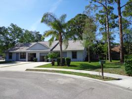 featured image of 1168 Amaryllis Ct