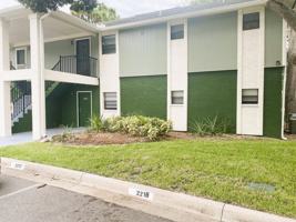 featured image of 2217 Flower Tree Cir