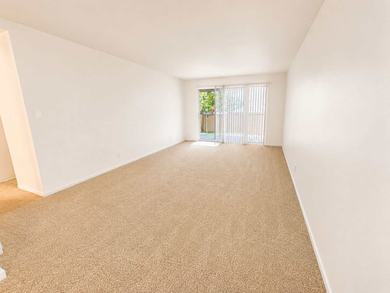 38500 Paseo Padre Pkwy #208 - Photo 5 of 11