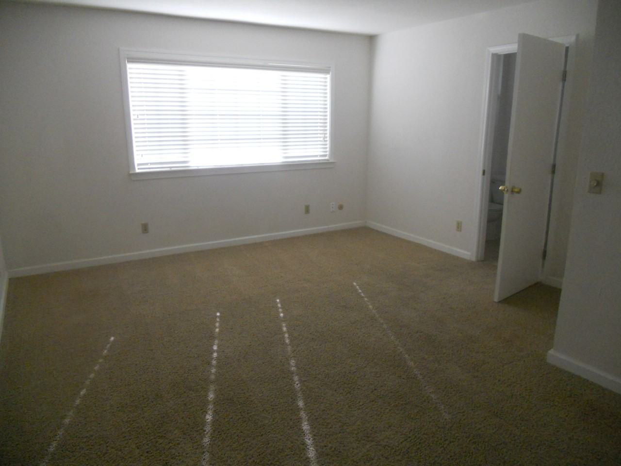 7205 Dedrick Ct - Photo 4 of 30