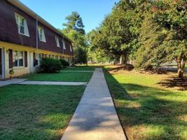 featured image of 12 County Road S-01-236 #1
