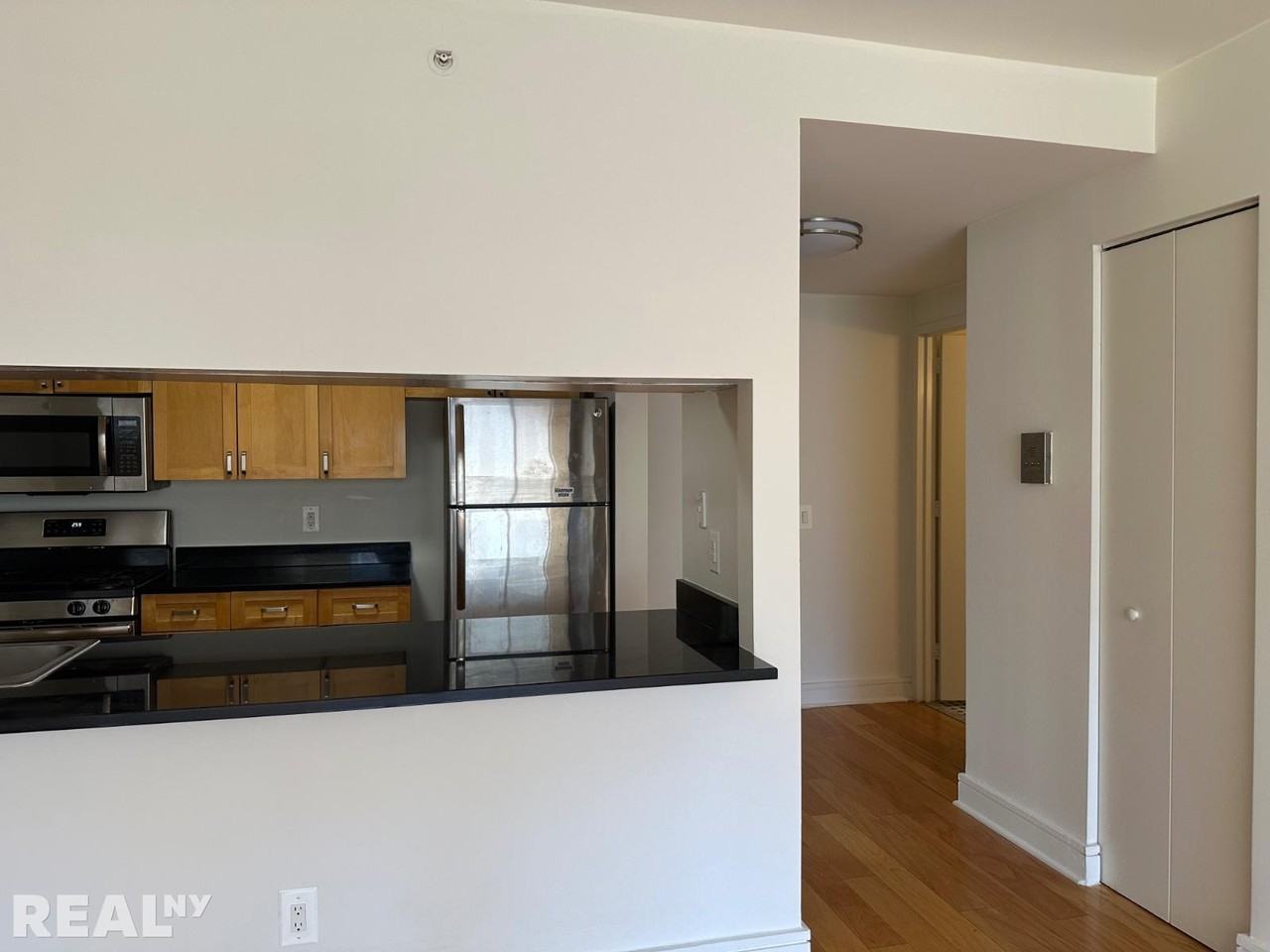 323 W 96th St #915 - Photo 4 of 12