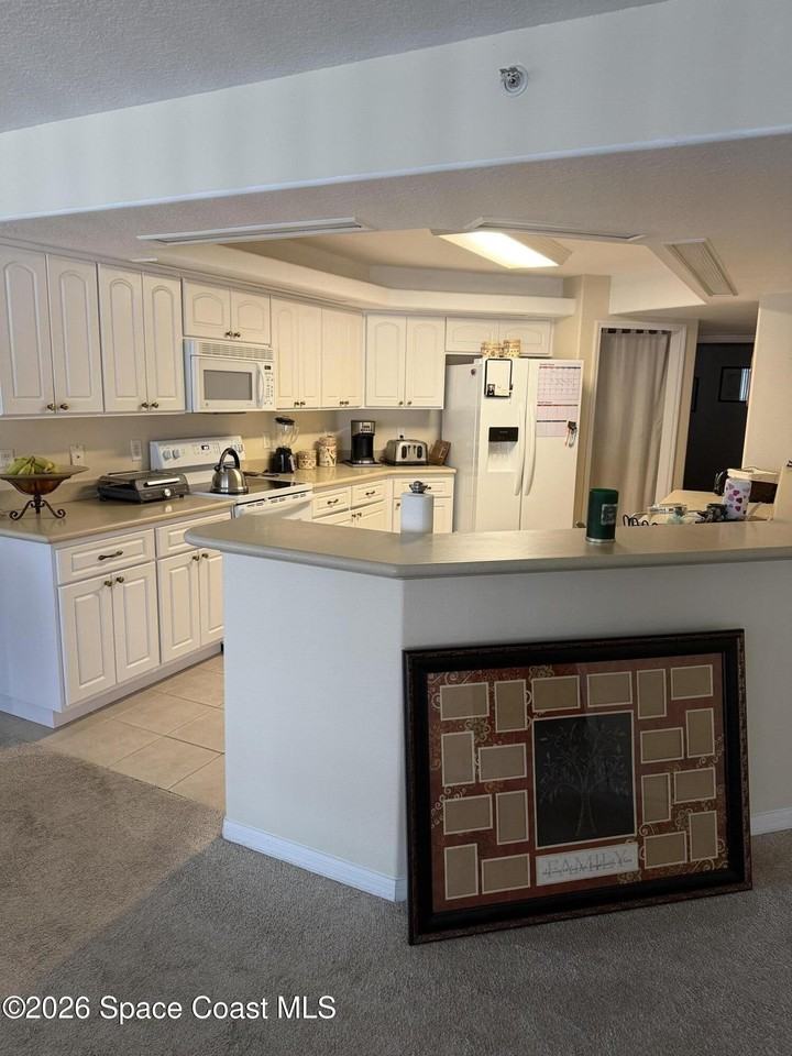 8914 Puerto Del Rio Dr #403 - Photo 5 of 20