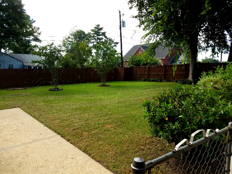 19 Arlington Dr - Photo 3 of 12