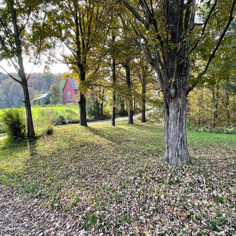 91 Maple Tree Ln - Photo 2 of 12