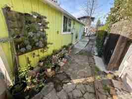 featured image of Lone Oak Ave #GREEN