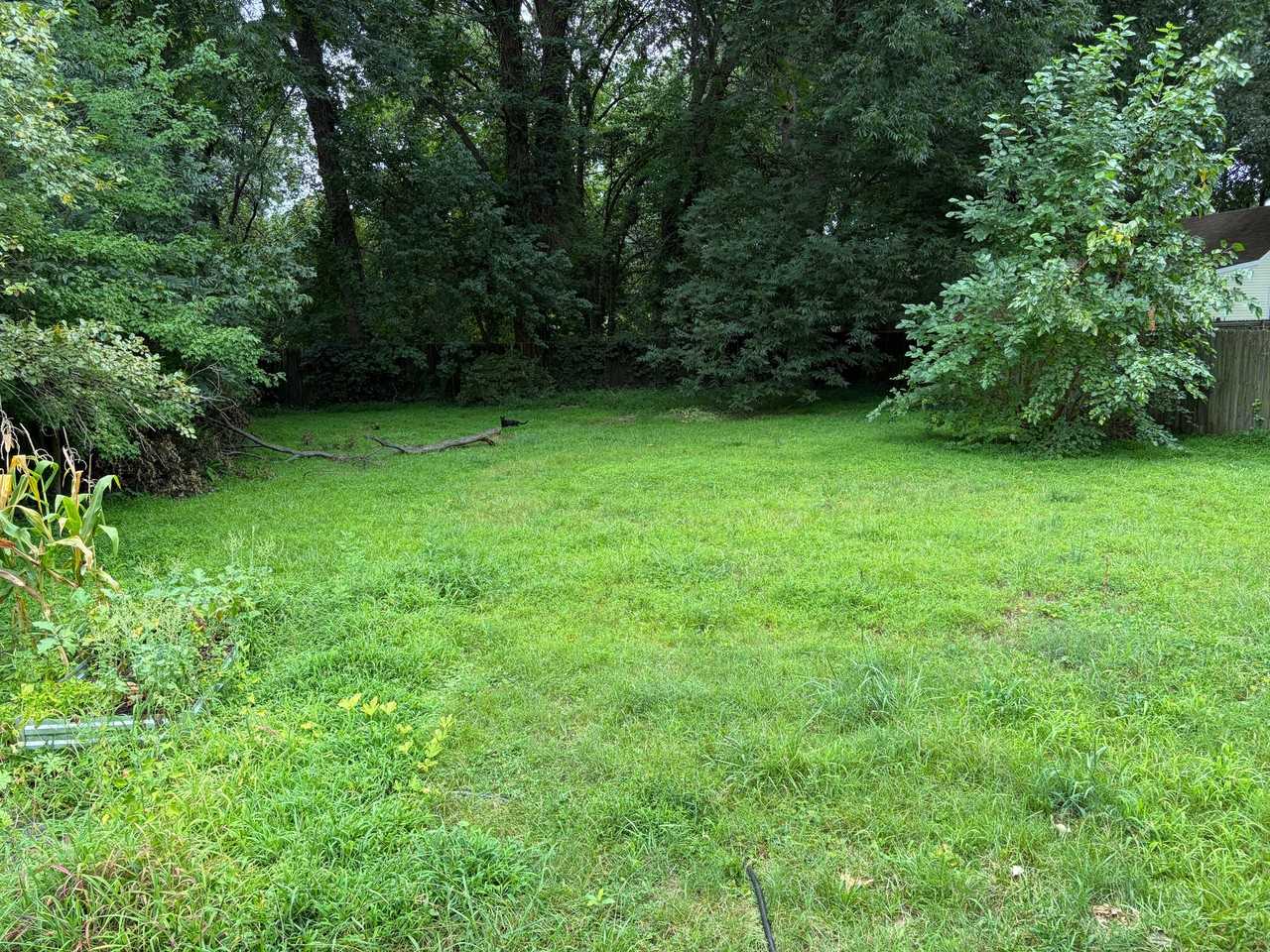 5211 Norvella Ave - Photo 2 of 13
