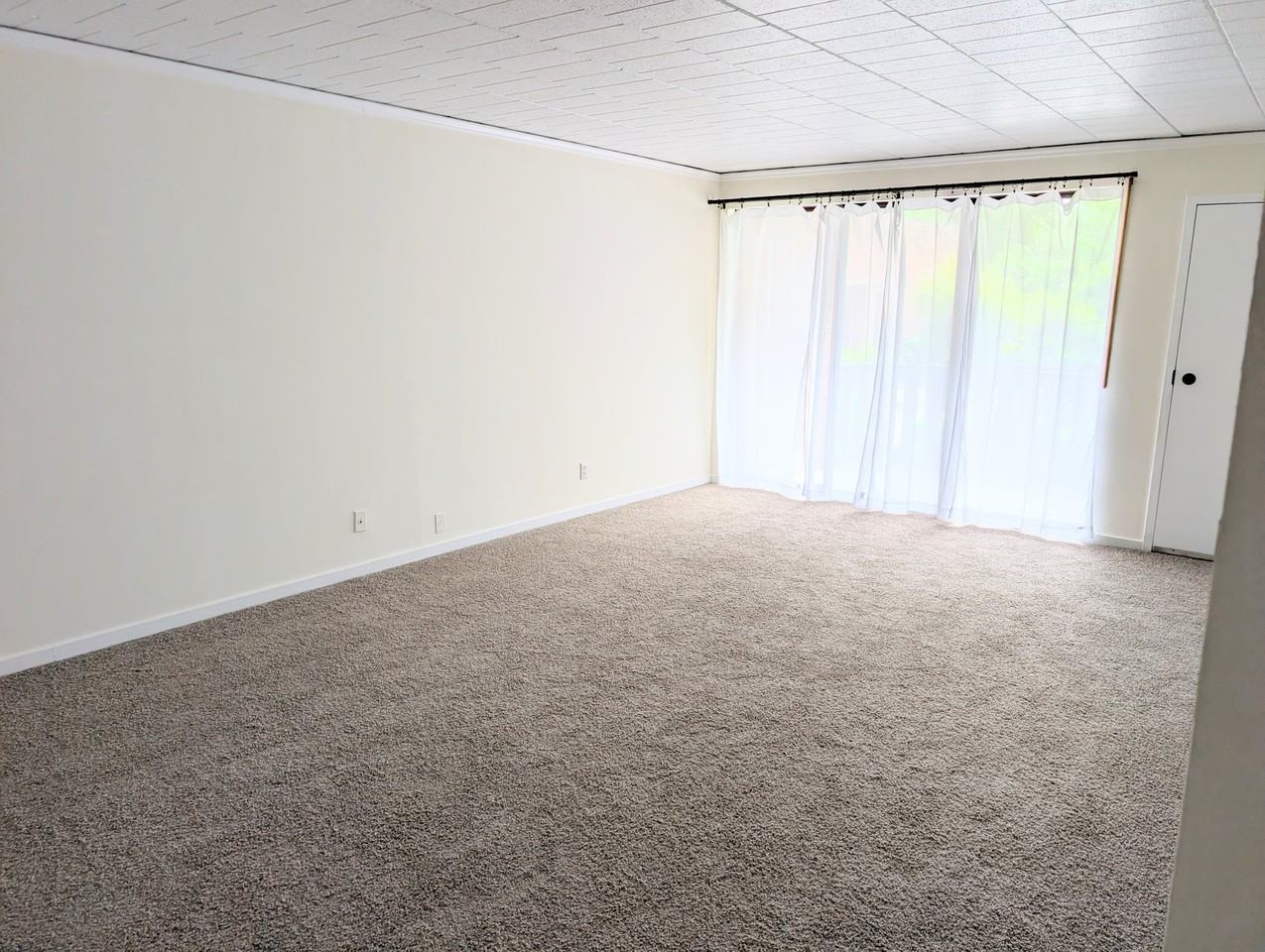 136 Centennial Ave #100 - Photo 5 of 17