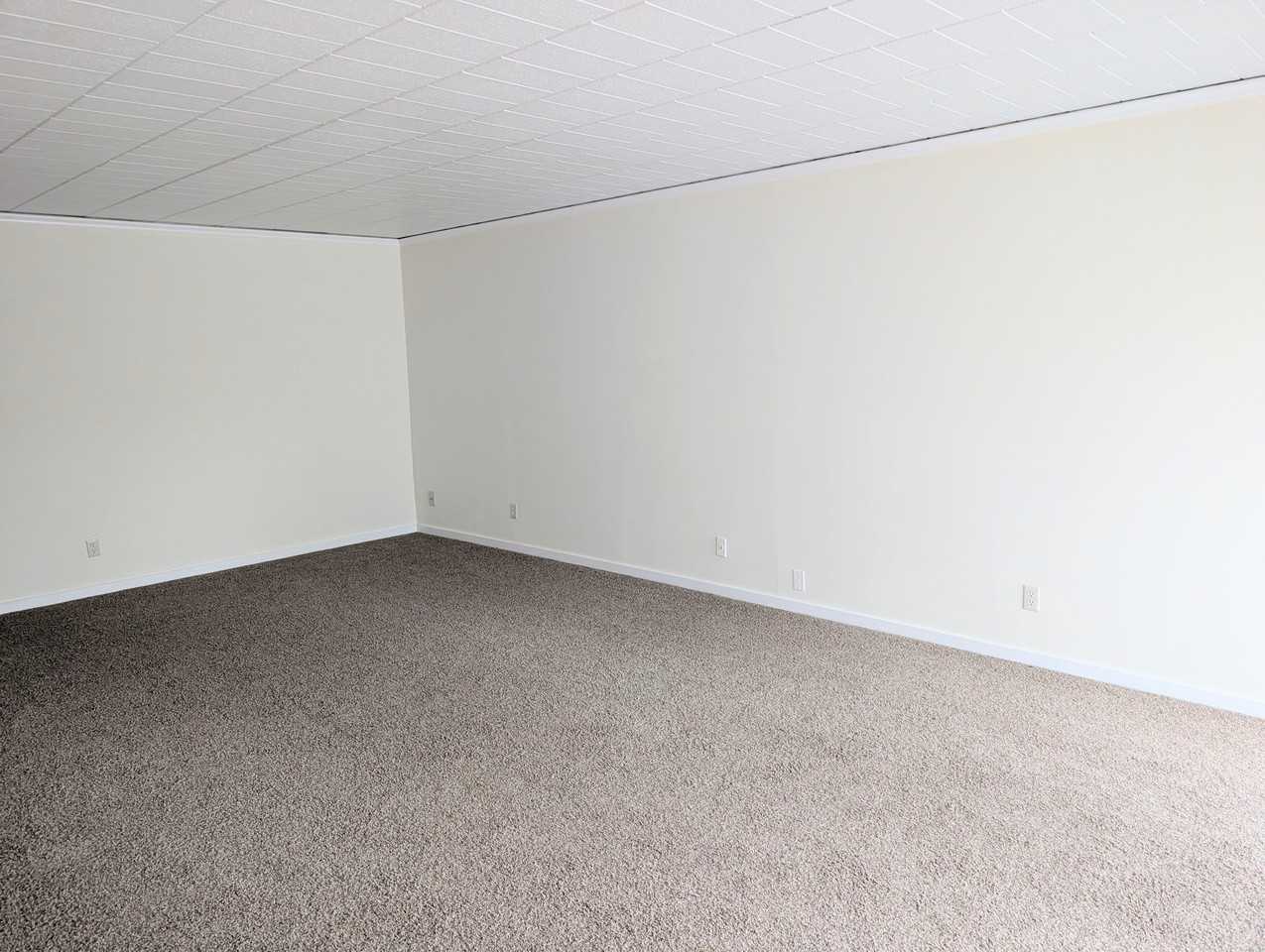 136 Centennial Ave #100 - Photo 7 of 17