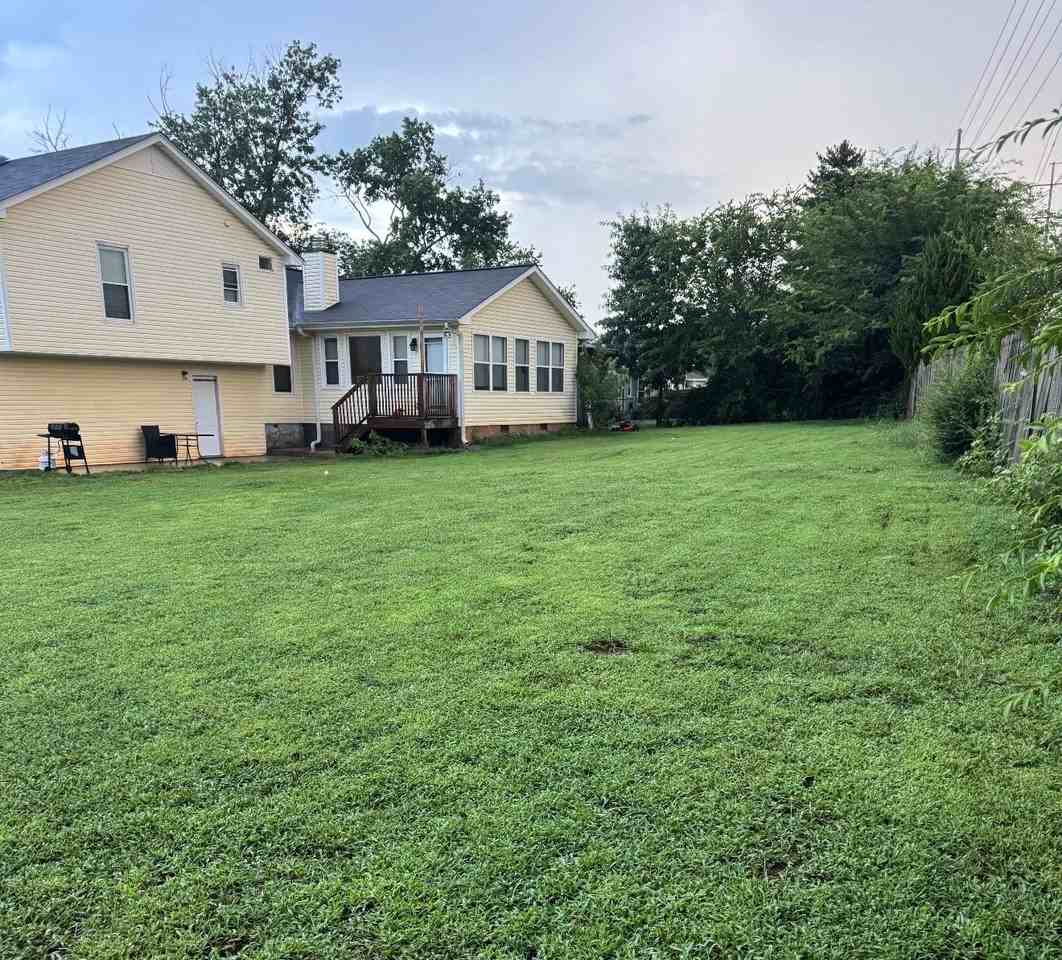 113 Lewis Ln - Photo 2 of 2