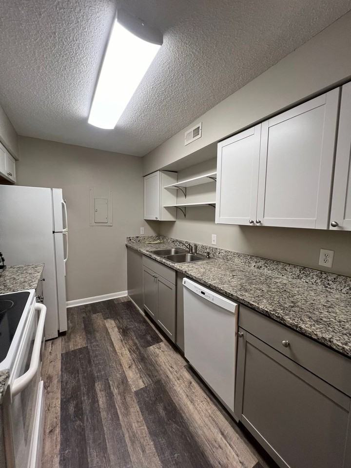 4519 Edwards Mill Rd Apt B - Photo 5 of 21