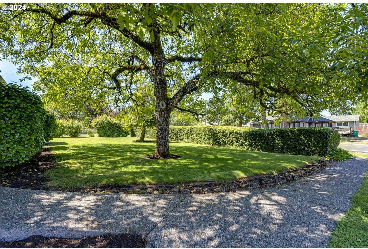 2430 Se Park Ave - Photo 4 of 46