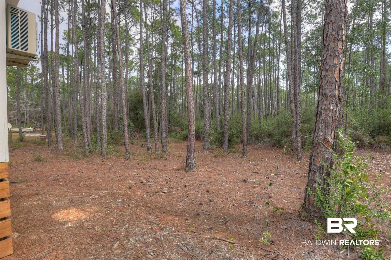 14588 Scenic Highway 98 - Photo 2 of 9