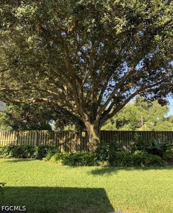 21174 Butchers Holler - Photo 4 of 4