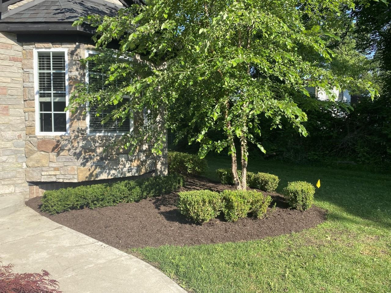 9915 Wayne Rd - Photo 3 of 38