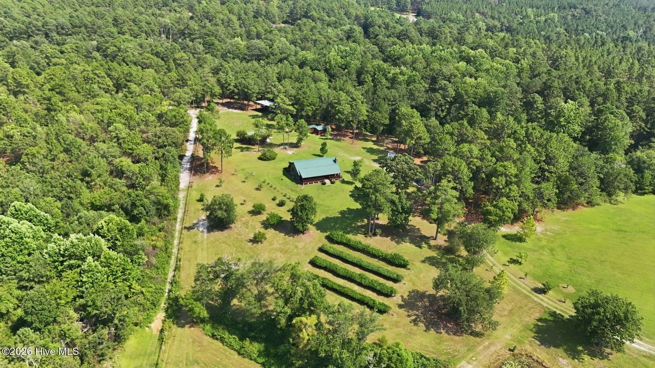 5103 Hillmon Grove Rd - Photo 3 of 40