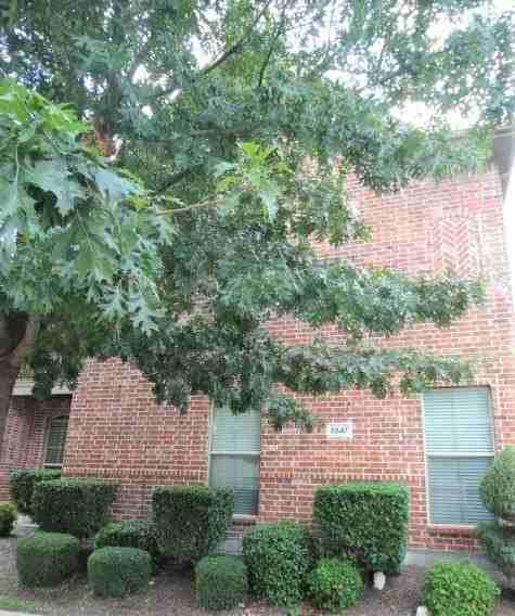 5547 Cecina Dr - Photo 2 of 16
