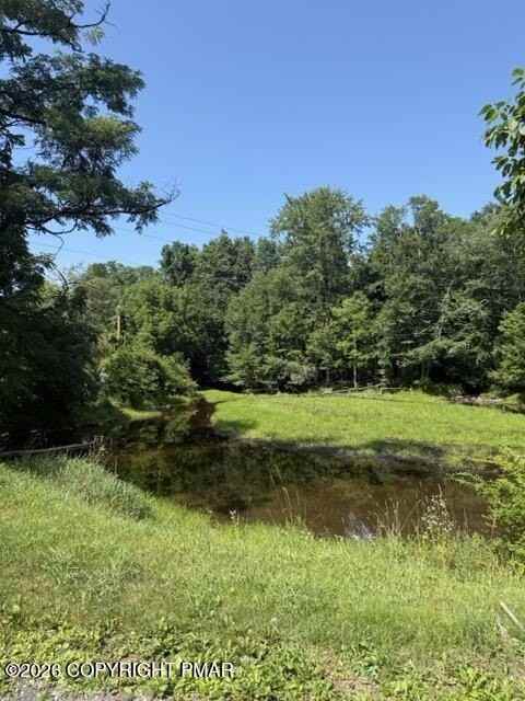 2402 Route 390 - Photo 3 of 13