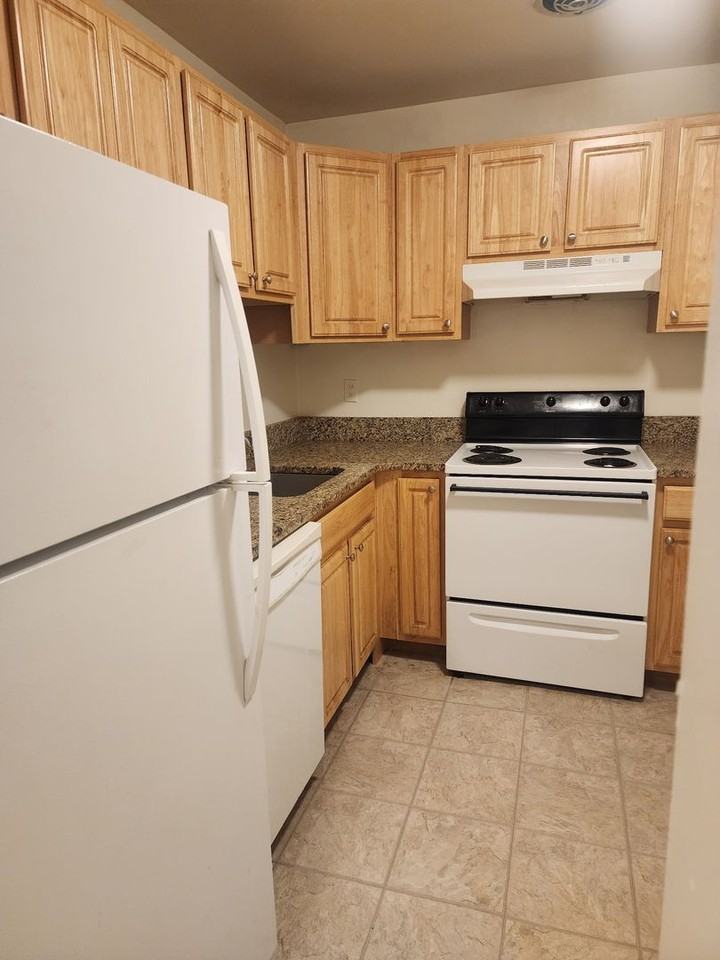 717 St Paul St - Photo 3 of 18
