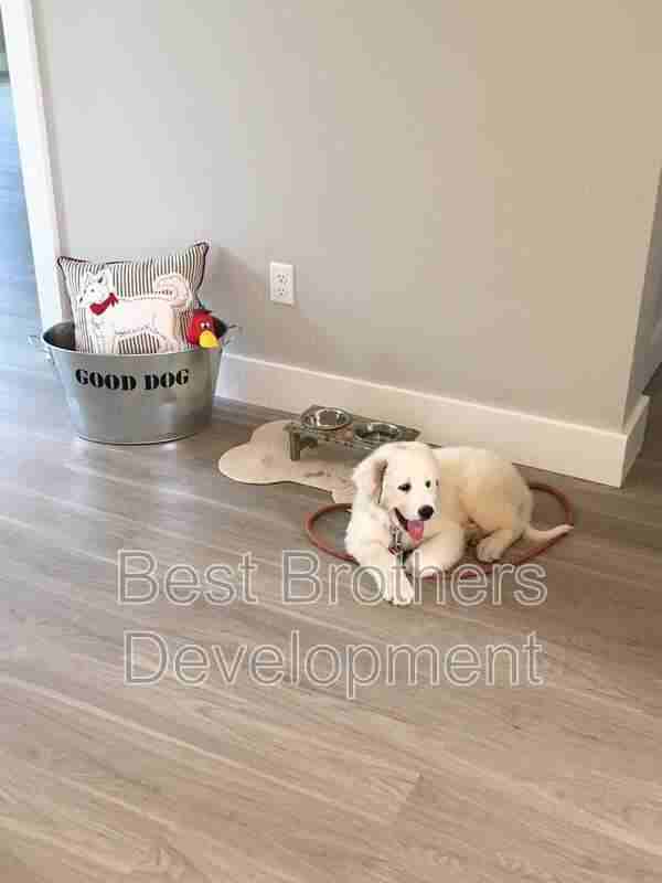 4779 S Park Ave #15 - Photo 7 of 9