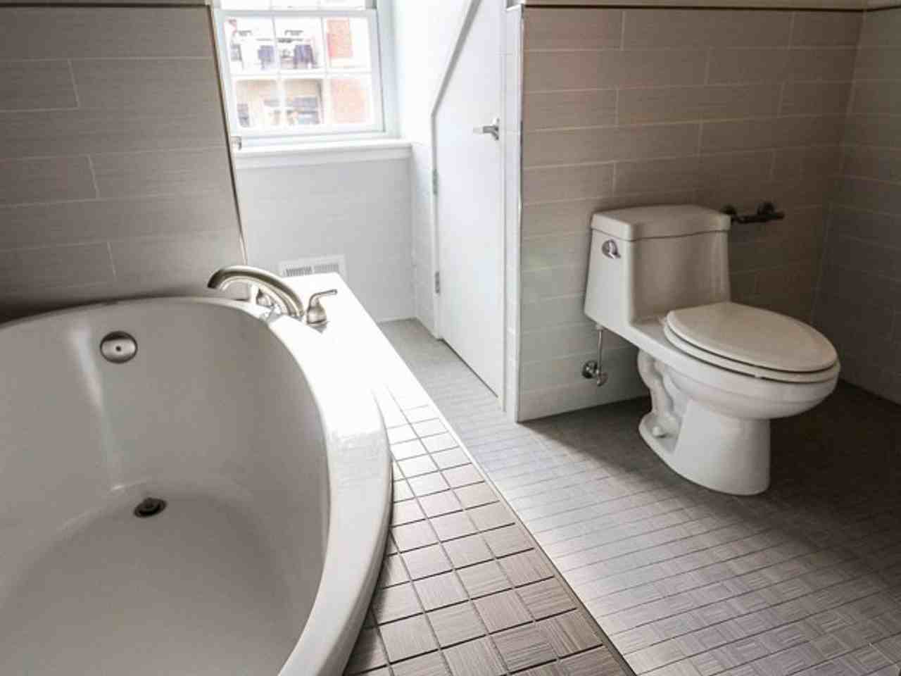 4 E Henrietta St - Photo 3 of 41