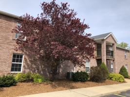 featured image of 1525 W Pacific St #105