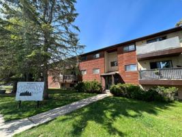 featured image of 5220 41 St