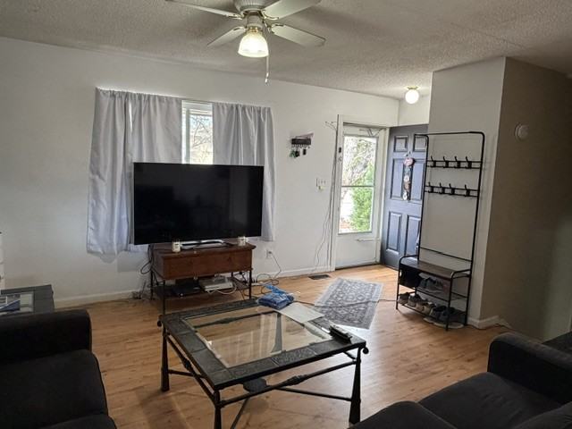 2236 Fernwood Dr #1 - Photo 2 of 20