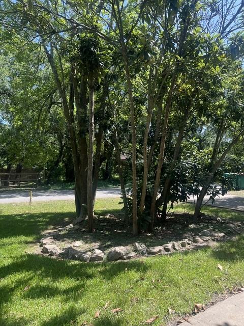 1910 Oaklawn Dr #1 - Photo 5 of 27