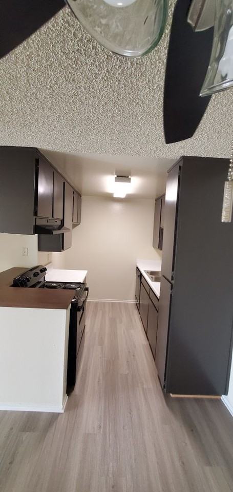 CASA COLIMA APARTMENTS - Photo 3 of 50