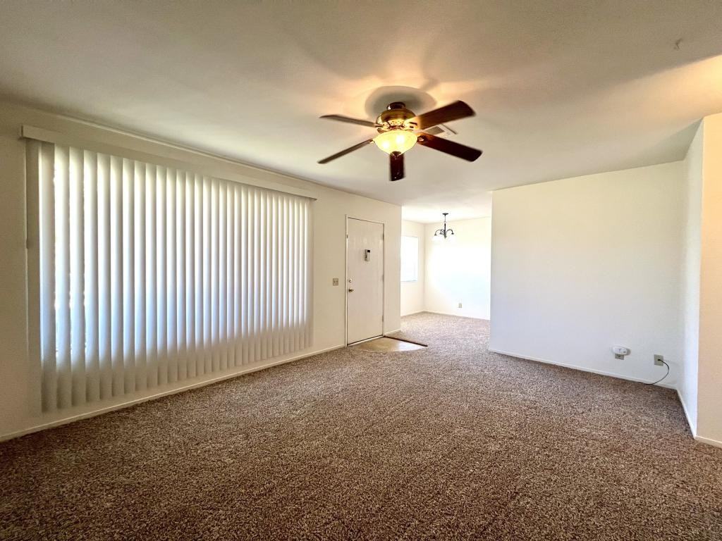 6816 Hemp Ct - Photo 3 of 19