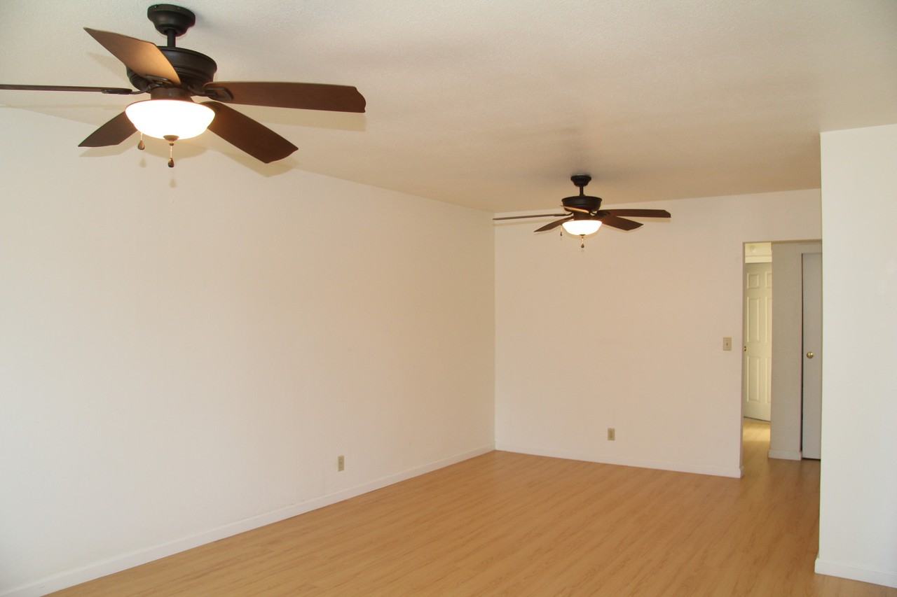 41058 Bairo Ct - Photo 6 of 18